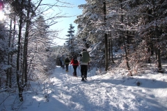 Photo Bannière